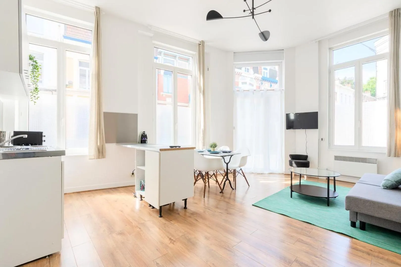 Functional Flat Close To The Station Lille France